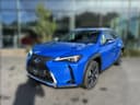 2024 Lexus UX 250h - 2 km - Náhled 15
