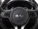 2020 Kia e-Niro - 43 420 km - Náhled 8