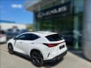 2024 Lexus Lexus NX 450h+ - 9 000 km - Náhled 2