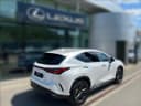 2024 Lexus Lexus NX 450h+ - 9 000 km - Náhled 4