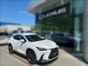 2024 Lexus Lexus NX 450h+ - 9 000 km - Náhled 5