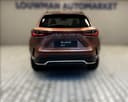 2025 Lexus Lexus NX 450h+ - 8 725 km - Náhled 18
