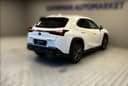 2025 Lexus UX 300h - 5 728 km - Náhled 15
