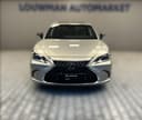 2025 Lexus ES 300h - 12 100 km - Náhled 18