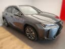 2024 Lexus UX 300h - 1 238 km - Náhled 2