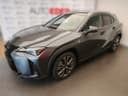 2024 Lexus UX 300h - 1 238 km - Náhled 12