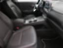 2019 Hyundai Kona Electric - 89 720 km - Náhled 8