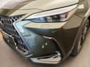 2025 Lexus Lexus NX 450h+ - 20 434 km - Náhled 8