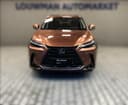 2025 Lexus Lexus NX 450h+ - 20 000 km - Náhled 4