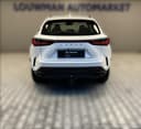 2024 Lexus Lexus NX 450h+ - 15 906 km - Náhled 3